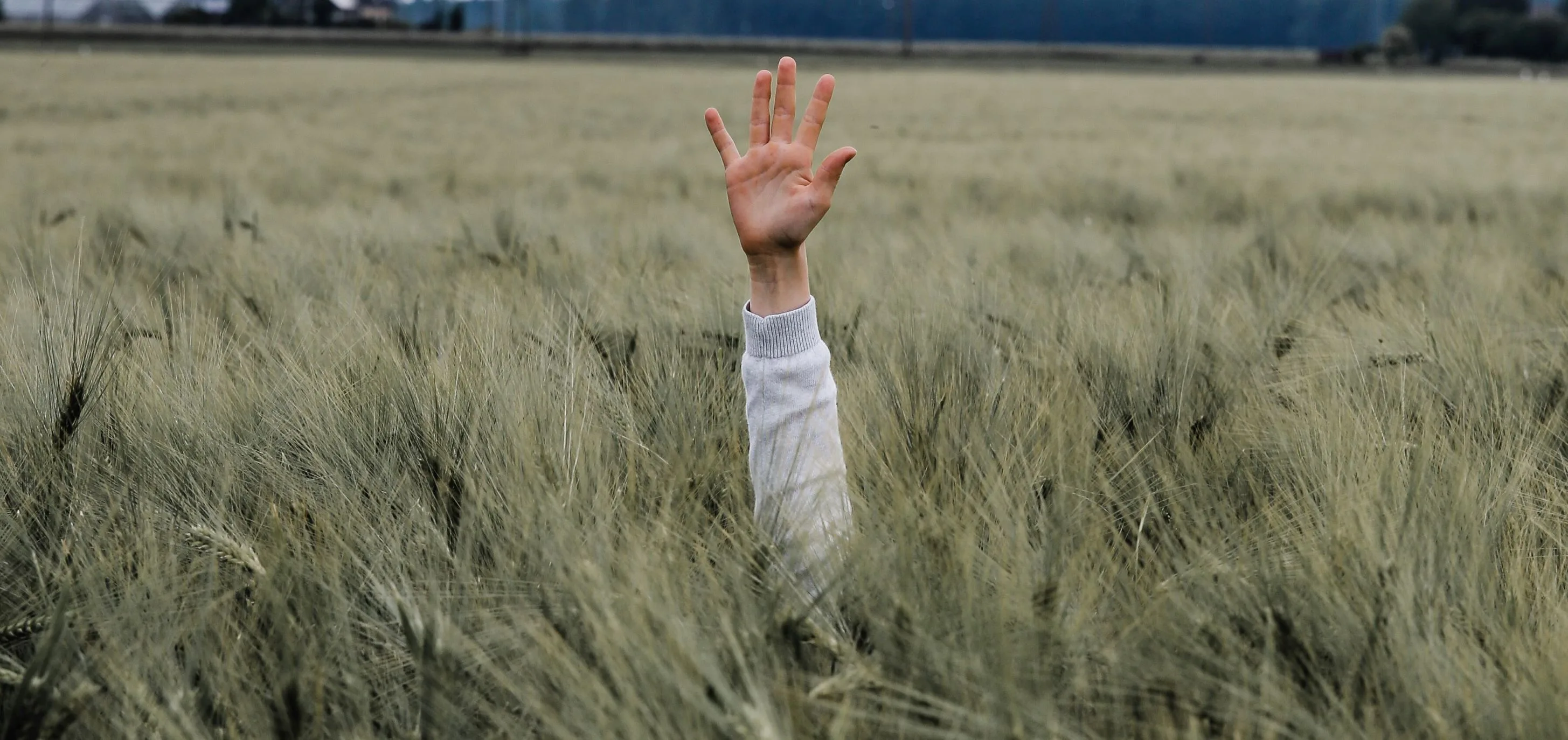 Jonny caspari D Vzt7cv RK Ro unsplash